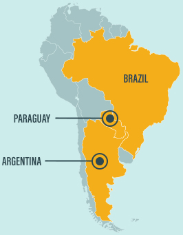 Map of Latin America where we focus on globally traded soft commodities with high levels of associated degradation: beef and soy